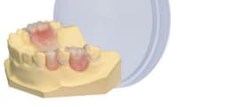 Disque nylon flexible